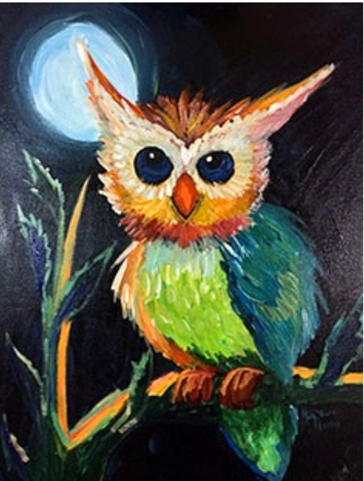 NIght Owl DIY Ready to Paint Canvas - BubaLapa Predrawn