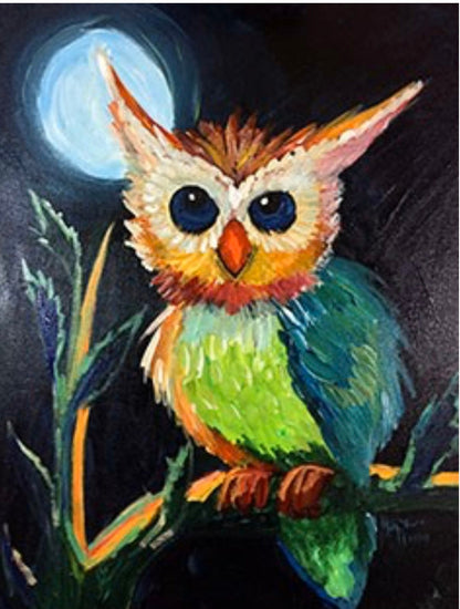 NIght Owl DIY Ready to Paint Canvas - BubaLapa Predrawn