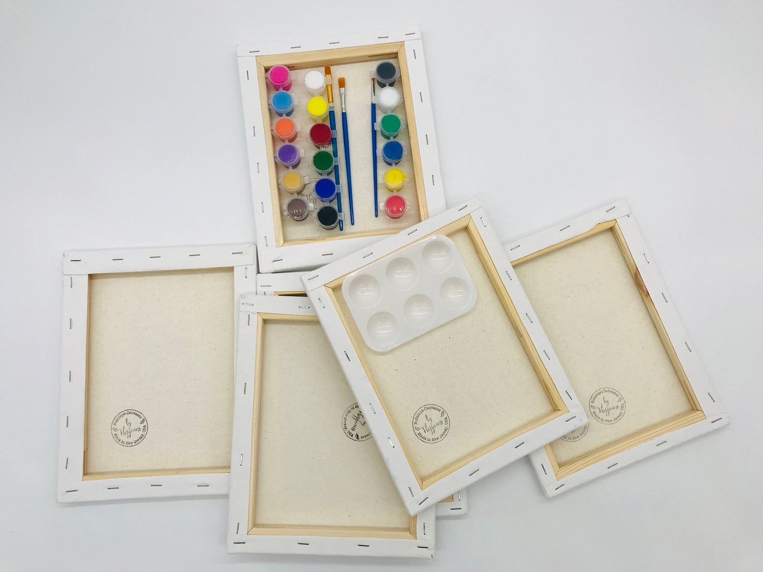 Birds and Flowers DIY Painting Kit - 6 Canvas pack - 24 paint pots -6 brushes, palette with instruction - 8 x 10 inches Predrawn Canvas